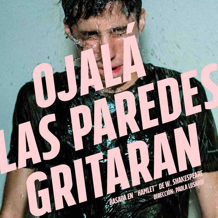 Ojalá las paredes gritaran en el Teatro Metropolitan 2020